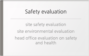 Safety evaluation